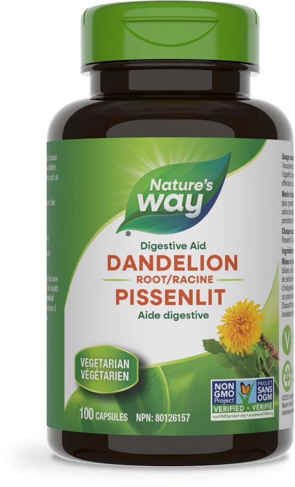Racine de pissenlit / 100 gélules