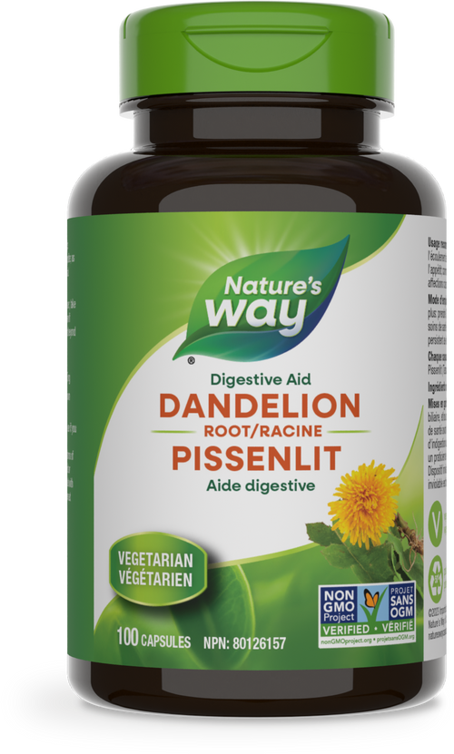 Racine de pissenlit / 100 gélules