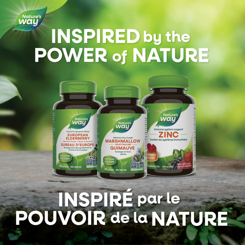 Marshmallow Root / 100 capsules