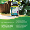 Milk Thistle / 120 capsules