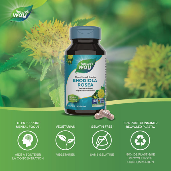 Rhodiola Rosea / 60 gélules