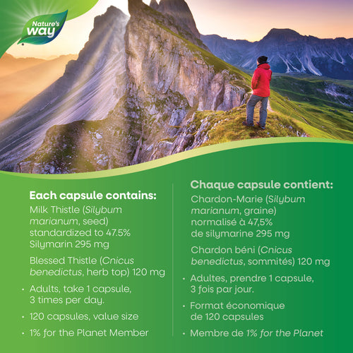 Chardon Marie / 120 gélules