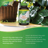 Kelp / 180 capsules