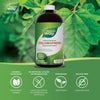 Chlorofresh™, Chlorophyllin Copper Complex, Liquid, Natural Flavour / 16 fl oz (474 ml)