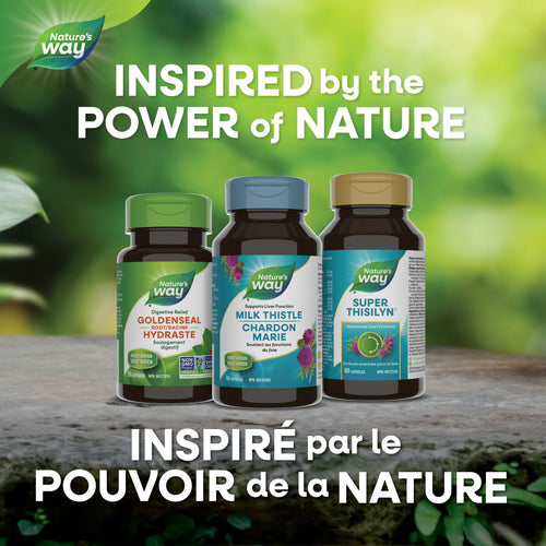 Chardon Marie / 120 gélules