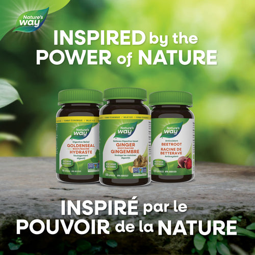 Ginger Root / 180 capsules