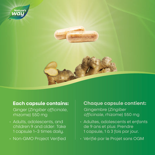 Ginger Root / 100 capsules