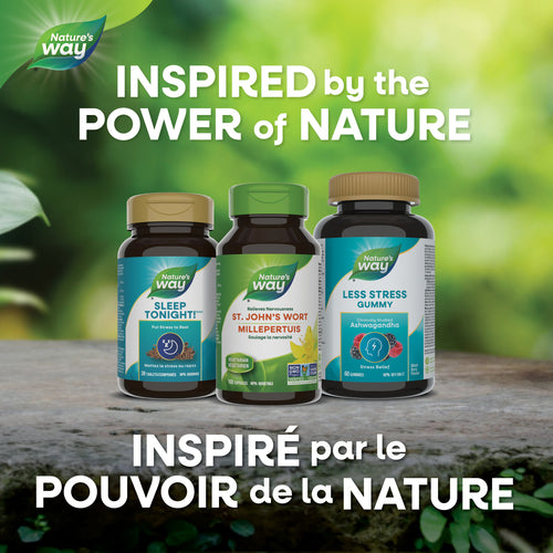 St. John's Wort / 100 capsules