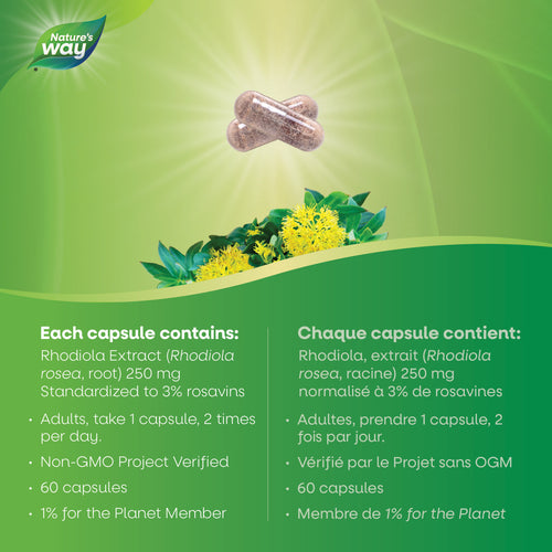 Rhodiola Rosea / 60 capsules