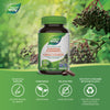 Elderberry / 100 capsules