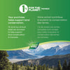 Pepogest™, Peppermint Essential Oil / 60 softgels