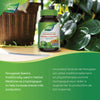 Fenugreek Seed / 100 capsules