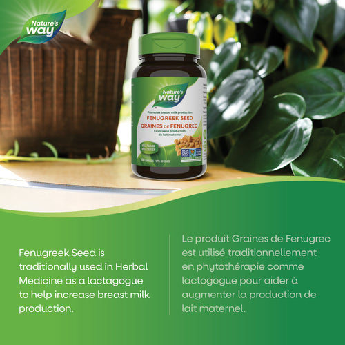 Fenugreek Seed / 100 capsules