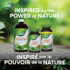 Goldenseal Root / 100 capsules