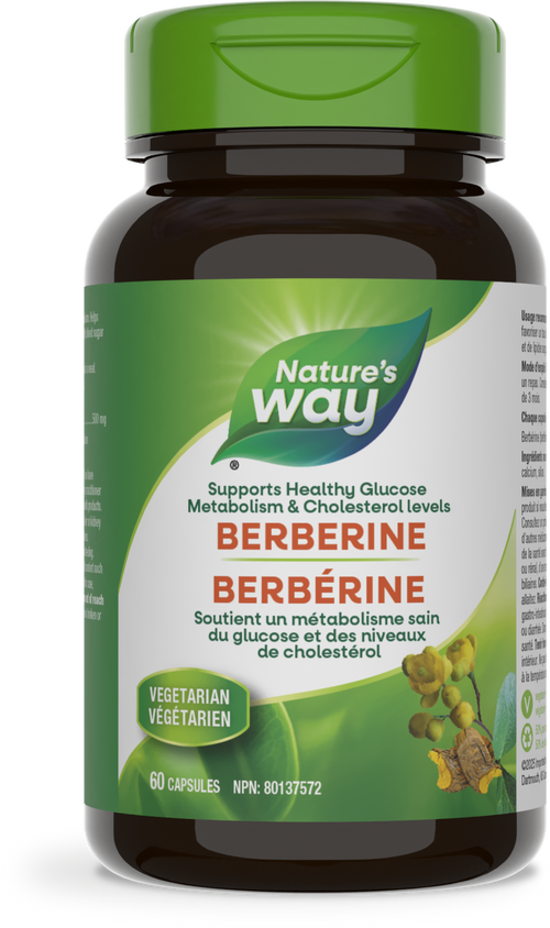 Berberine / 60 capsules