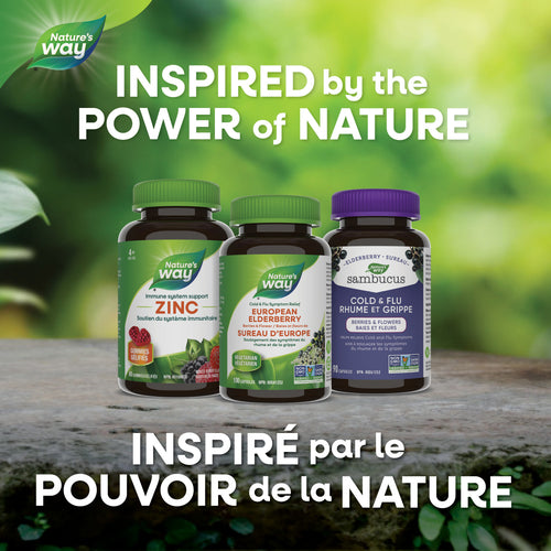 Elderberry / 100 capsules