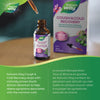 Nature's Way Cough & Cold Recovery Drops / 1 fl oz (30 ml)