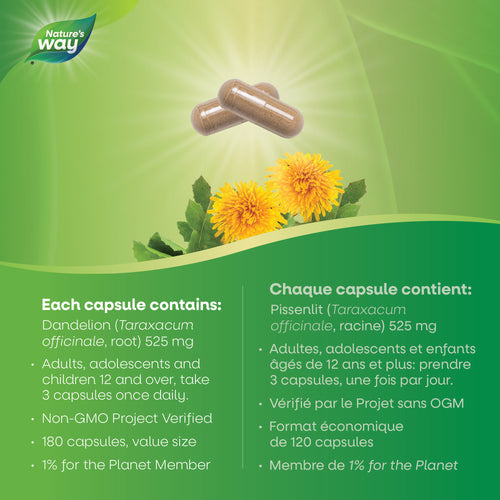 <{%MAIN3_30527%}>Nature's Way® | Dandelion Root