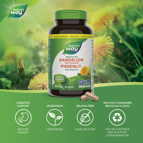 <{%MAIN1_30527%}>Nature's Way® | Dandelion Root