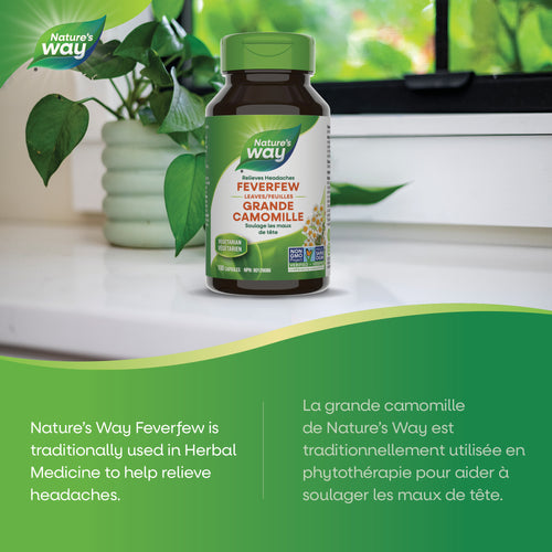 <{%MAIN2_10422%}>Nature's Way® | Feverfew Leaves