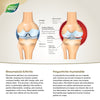 <{%MAIN1_13048%}>Nature's Way® | NutraSea® Arthritis Targeted Omega-3, Citrus Flavour