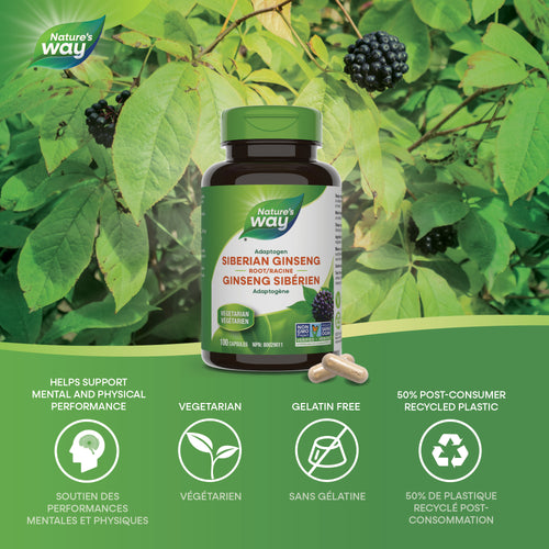 <{%MAIN1_10424%}>Nature's Way® | Siberian Ginseng Root