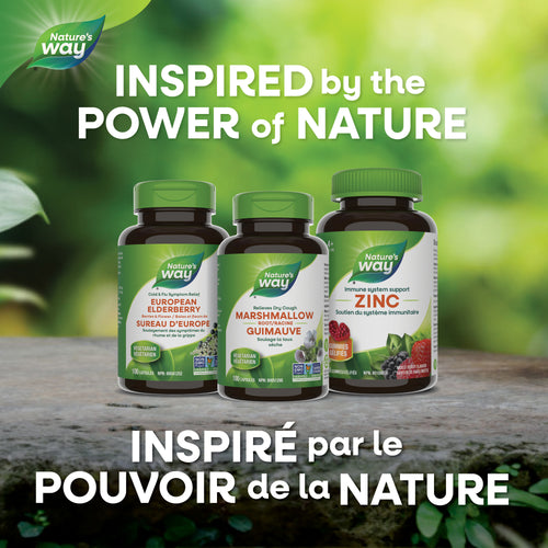 <{%MAIN5_10431%}>Nature's Way® | Marshmallow Root