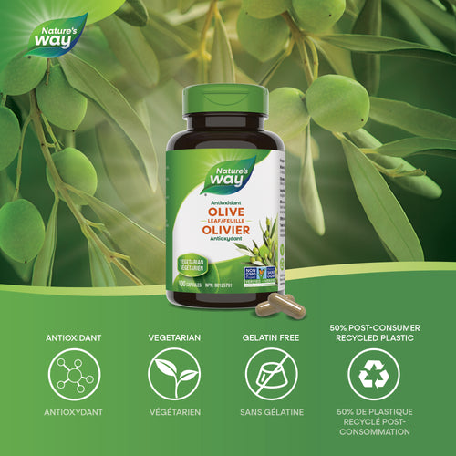 <{%MAIN1_30668%}>Nature's Way® | Olive Leaf