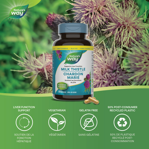 <{%MAIN1_10288%}>Nature's Way® | Milk Thistle