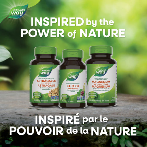 <{%MAIN5_30665%}>Nature's Way® | Kudzu Root