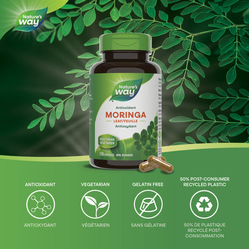 <{%MAIN1_15964%}>Nature's Way® | Moringa Leaf