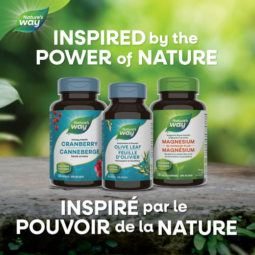 <{%MAIN5_31150%}>Nature's Way® | Olive Leaf, Standardized Extract