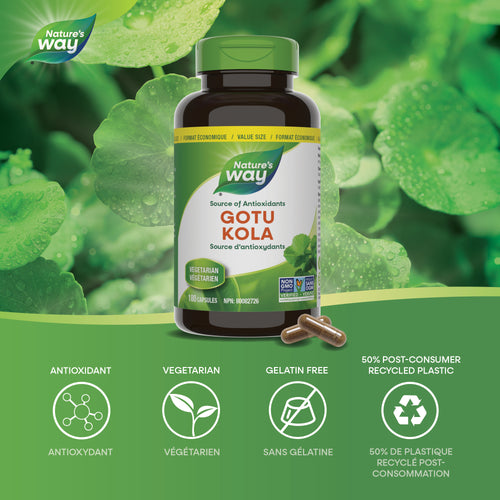 <{%MAIN2_31713%}>Nature's Way® | Gotu Kola