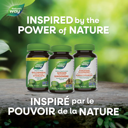 <{%MAIN5_12748%}>Nature's Way® | Vitex Chasteberry