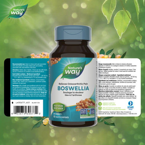 <{%FACT1_30677%}>Nature's Way® | Boswellia - supplement facts