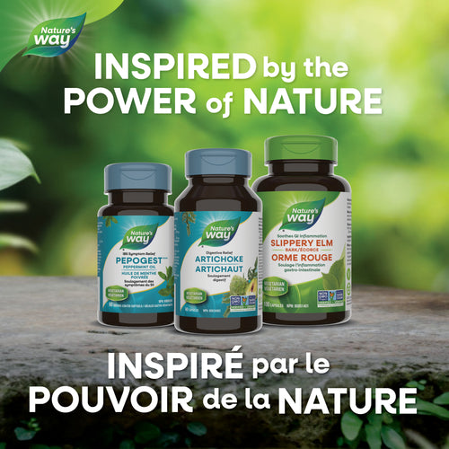 <{%MAIN5_30675%}>Nature's Way® | Artichoke