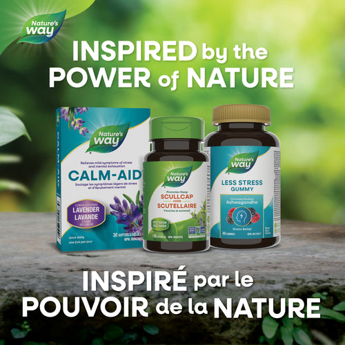 <{%MAIN5_10440%}>Nature's Way® | Scullcap Herb