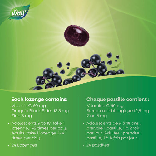 <{%MAIN3_16360%}>Nature's Way® | Sambucus Immune Lozenges With Zinc & Vitamin C