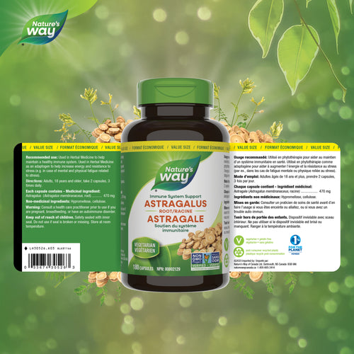 <{%FACT1_30526%}>Nature's Way® | Astragalus Root - supplement facts