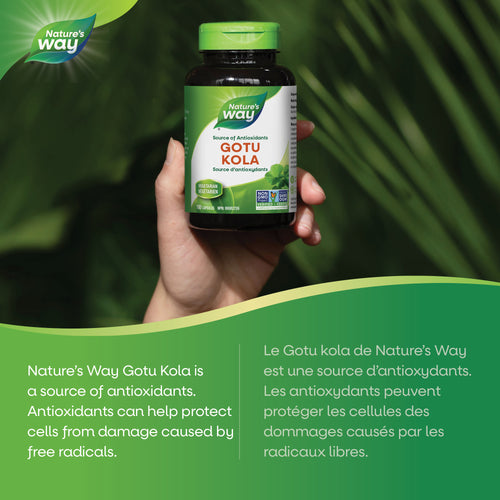 <{%MAIN2_31712%}>Nature's Way® | Gotu Kola