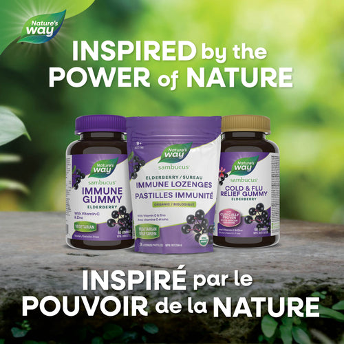 <{%MAIN5_16360%}>Nature's Way® | Sambucus Immune Lozenges With Zinc & Vitamin C