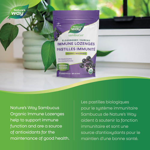 <{%MAIN2_16360%}>Nature's Way® | Sambucus Immune Lozenges With Zinc & Vitamin C