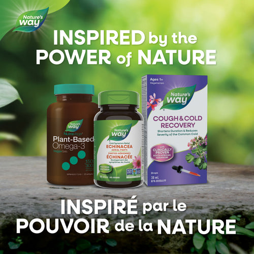 <{%MAIN4_10417%}>Nature's Way® | Echinacea, Aerial Parts
