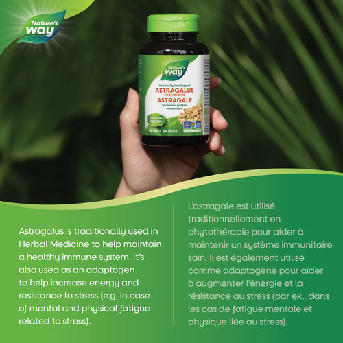 <{%MAIN2_10401%}>Nature's Way® | Astragalus Root
