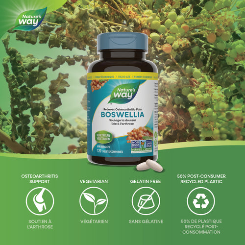 <{%MAIN2_12747%}>Nature's Way® | Boswellia