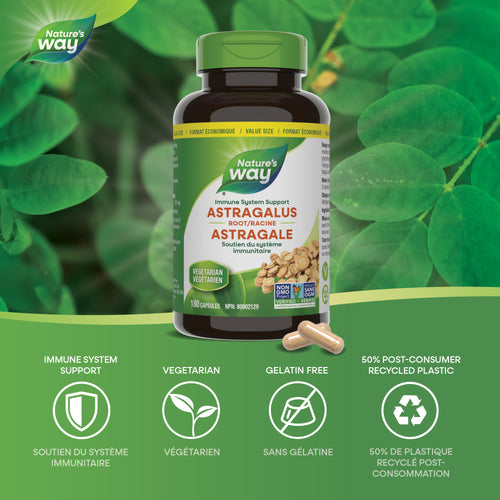 <{%MAIN1_30526%}>Nature's Way® | Astragalus Root