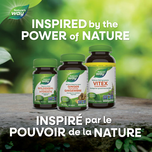 <{%MAIN5_10455%}>Nature's Way® | Chlorofresh™, Chlorophyllin Copper Complex, Liquid, Mint Flavour