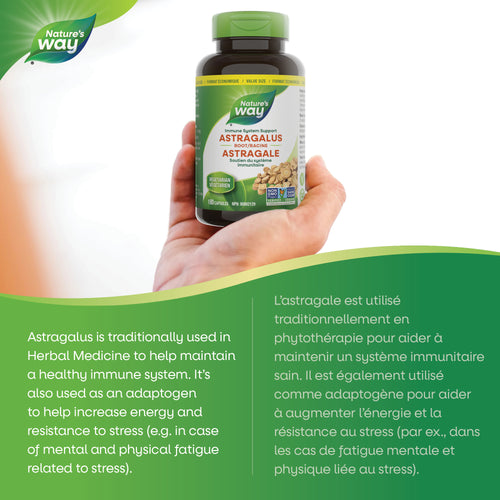 <{%MAIN2_30526%}>Nature's Way® | Astragalus Root