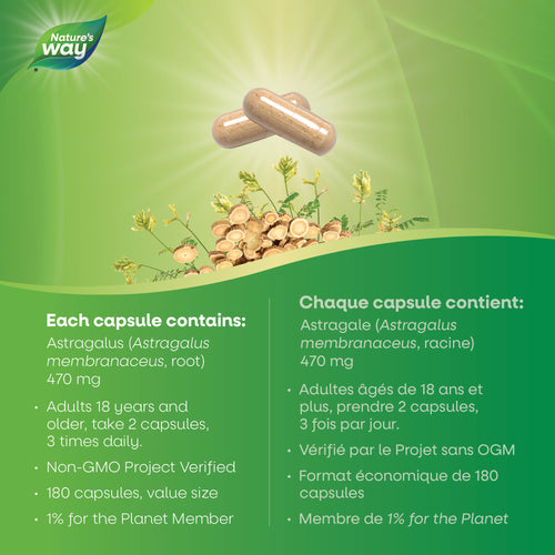 <{%MAIN3_30526%}>Nature's Way® | Astragalus Root