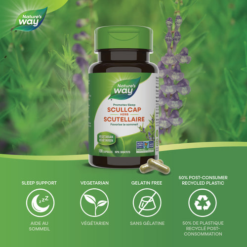 <{%MAIN1_10440%}>Nature's Way® | Scullcap Herb